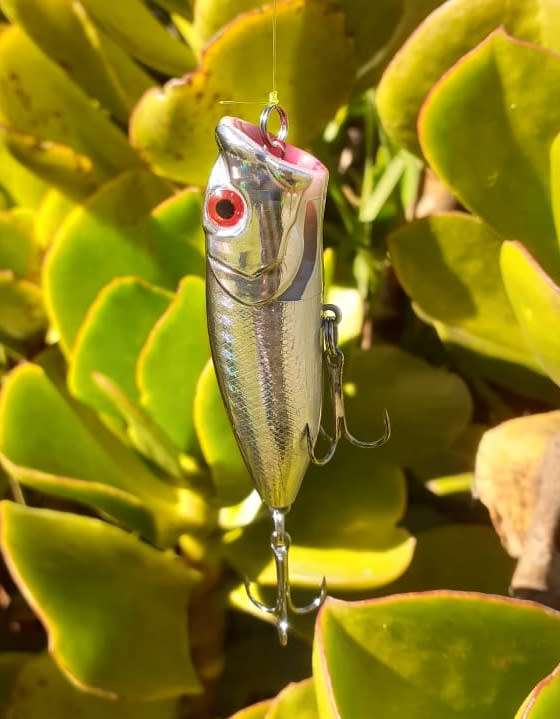 Hard Plastic Fishing Lure Rattle Popper Silver 12g