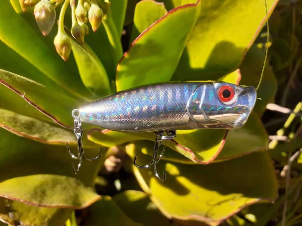 Hard Plastic Fishing Lure Rattle Popper Silver 12g