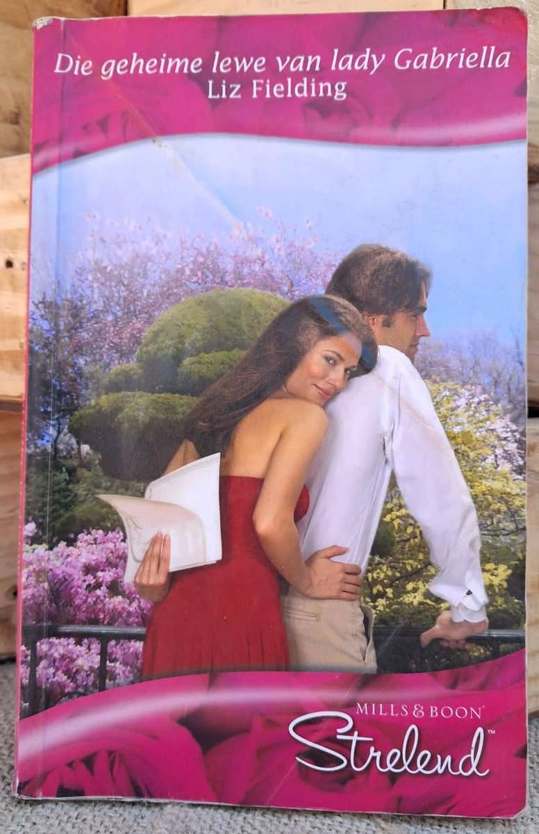 Mills and Boon Strelend - Die geheime lewe van lady Gabriella