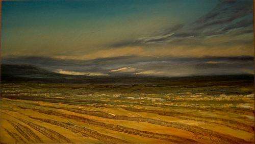 Original Fiona Geldenhuys Oil Painting - 700 x 400 mm