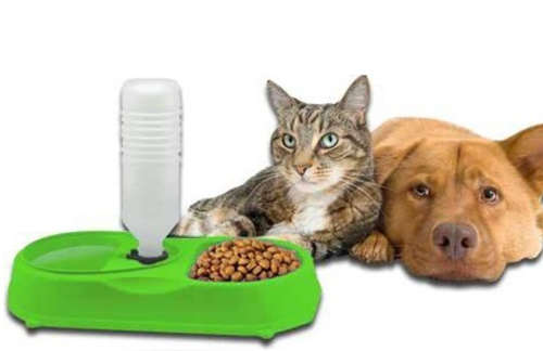 PET FEEDER