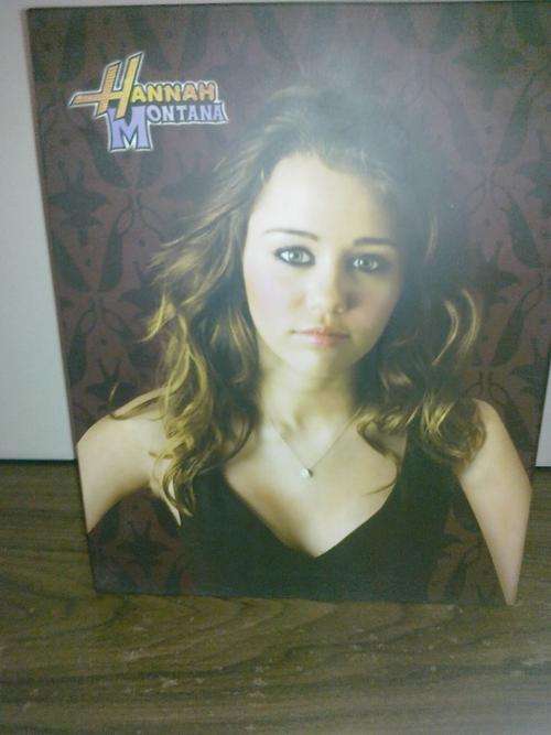 HANNAH MONTANA 200 PHOTO ALBUM!!!!!!! A GREAT GIFT
