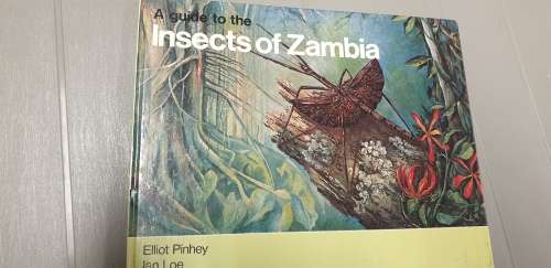 A guide to the insects of Zambia. Elliot Pinhey and Ian Loe.