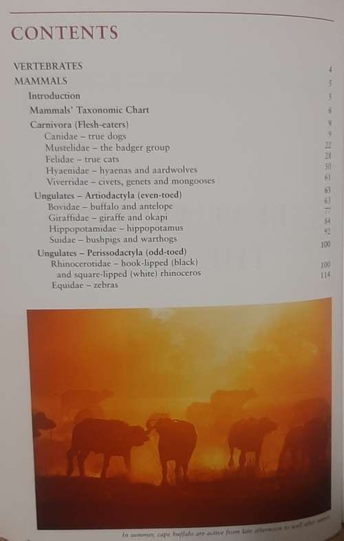 Beat About The Bush: The Bush Guide  Author: Trevor Carnaby