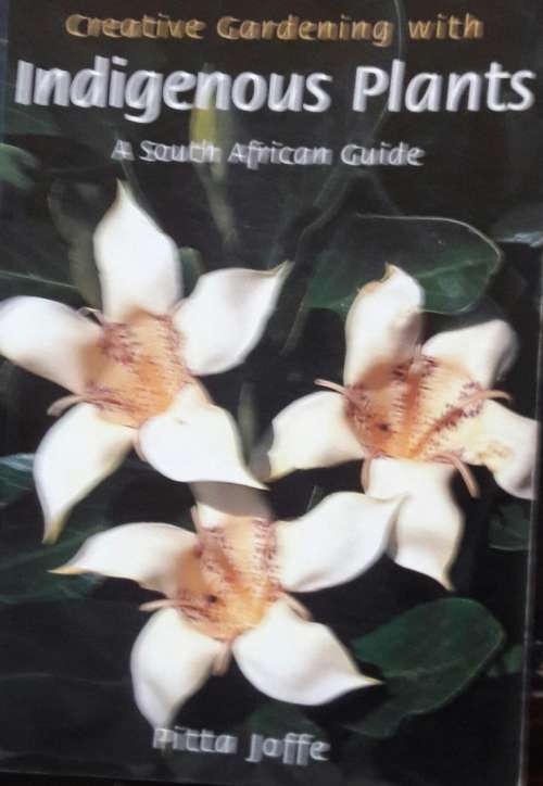 Indigenous Plants - Pitta Joffe