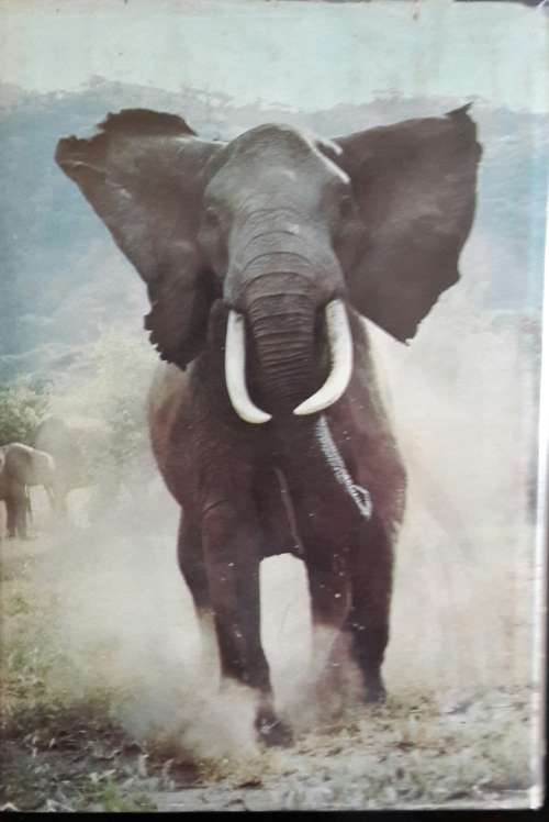 Among the Elephants - Iain and Oria Douglas- Hamilton