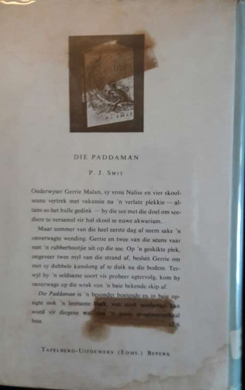 Pennie se Vuur - P H Nortje