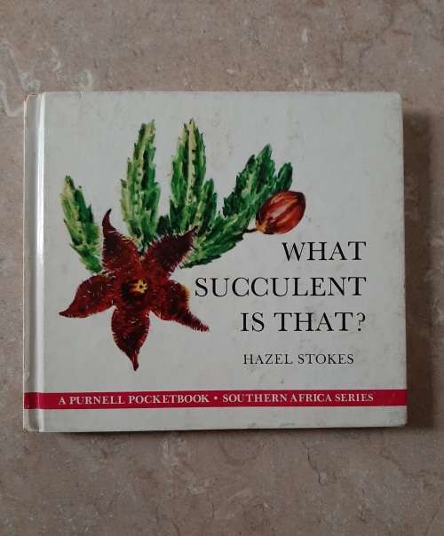 What Succulent is that? - Author: Hazel Stokes