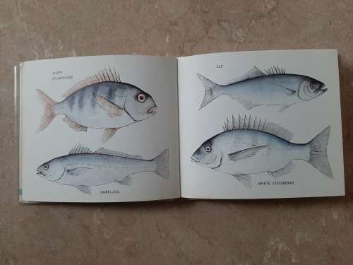What Fish is that? (Ocean) - Author: G. Robertson