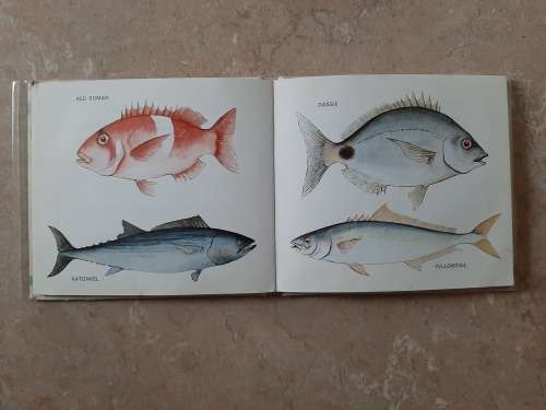 What Fish is that? (Ocean) - Author: G. Robertson