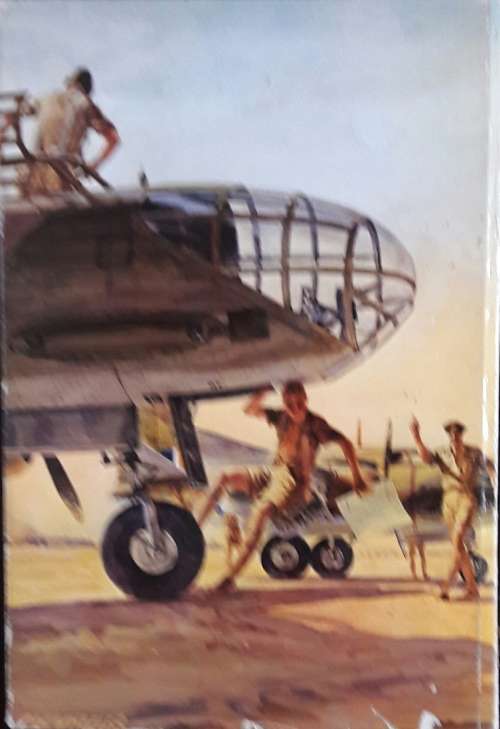 Buffoon In Flight - Peter Atkins