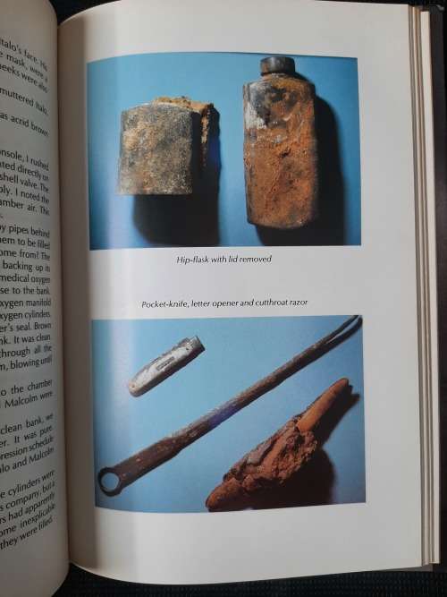 Salvage of the Birkenhead - Author: Allan Kayle