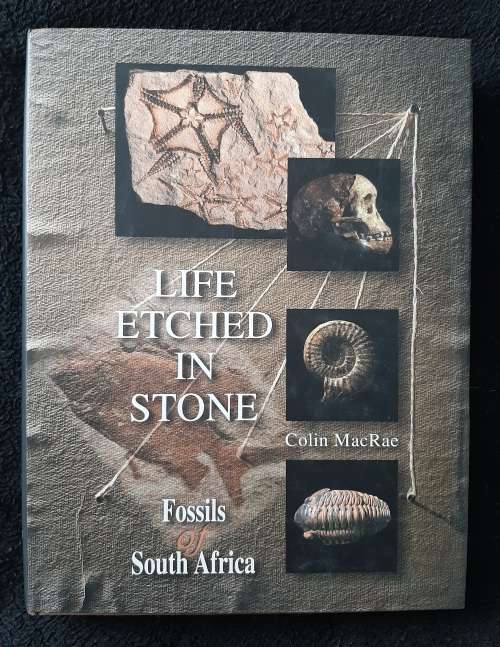 Life Etched in Stone: Fossils of South Africa  By Colin MacRae