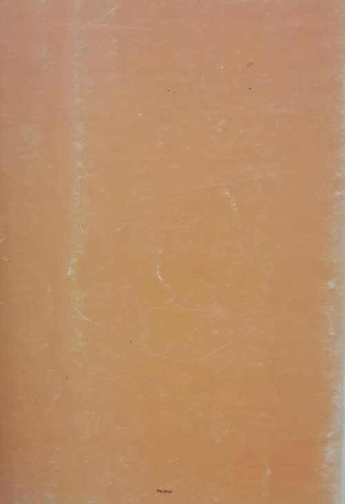 Talking With The ANC