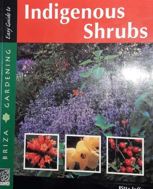 Indigenous Shrubs