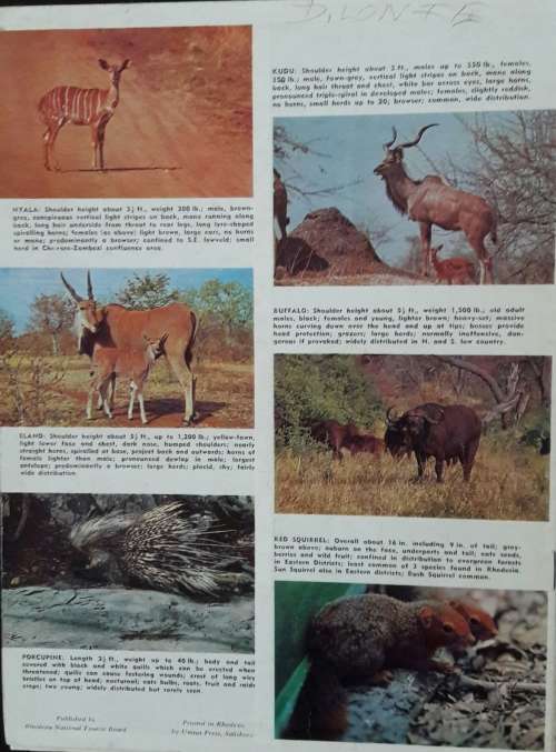 Animals of Rhodesia by Astley Maberly