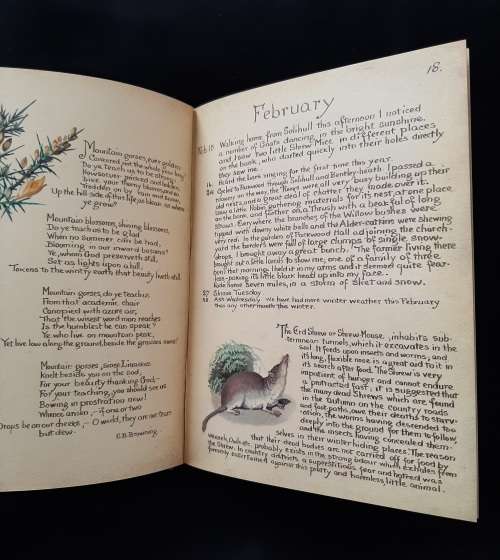 The Country Diary of an Edwarian Lady By Edith Holden