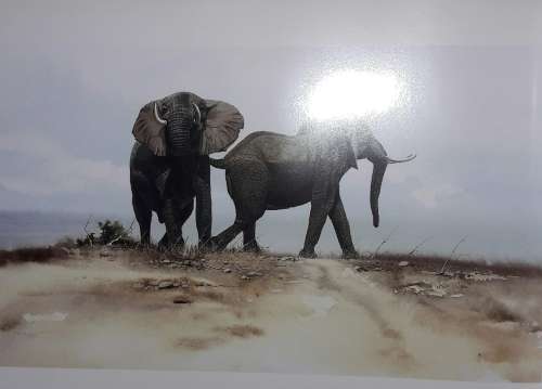 Manzovo - Place of the Elephants - Gary Albyn and Craig Bone