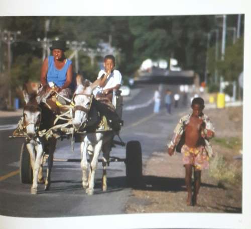 Die Oervlakte - Primordial Plains - Little Karoo