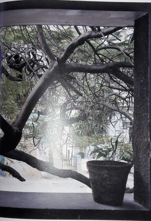 Avenue Patrice Lumumba - Guy Tillim