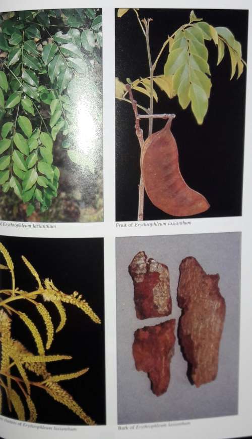 Medicinal Plants of South Africa - Ben-Erik Van Wyk - Bosch Van Oudtshoorn - Nigel Gericke