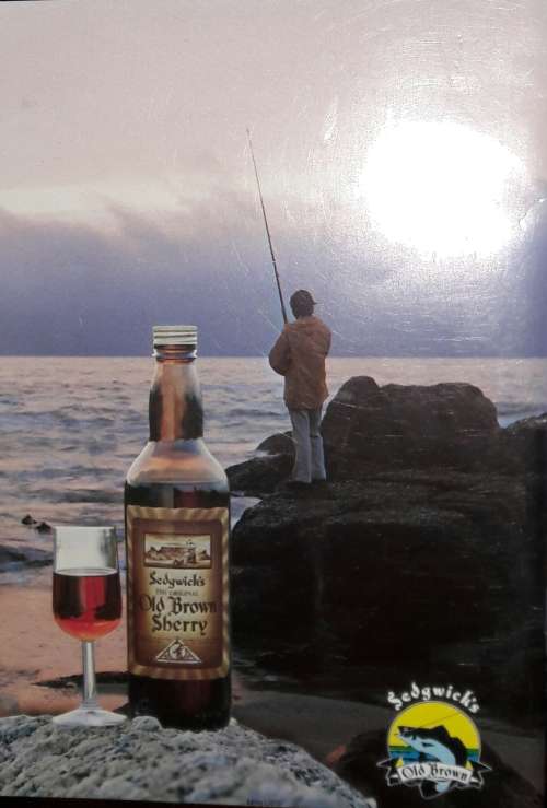 Sedgwick`s Old Brown Rock and Surf Angling Guide Southern Cape  - Vincent Taylor