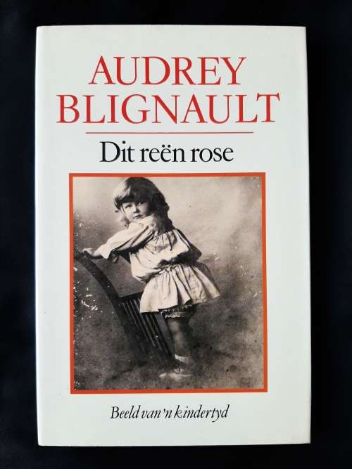 Dit Reën Rose: Beeld van n kindertyd by Audrey Blignault