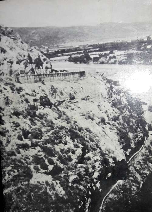 Die Brullende Leeu Getem - G F Malan