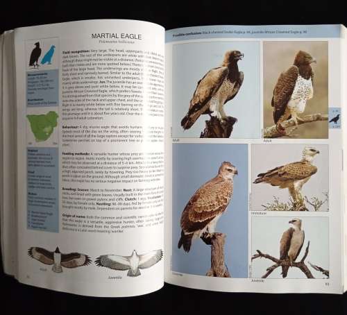 The Raptor Guide of Southern Africa by Ulrich Oberprieler & Burger Cillié