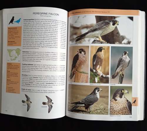 The Raptor Guide of Southern Africa by Ulrich Oberprieler & Burger Cillié