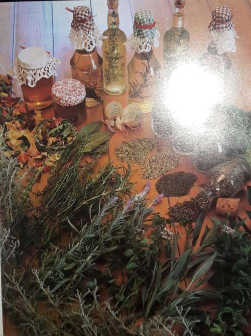 Herbs For The South African Garden And Home - Zoe Gilbert