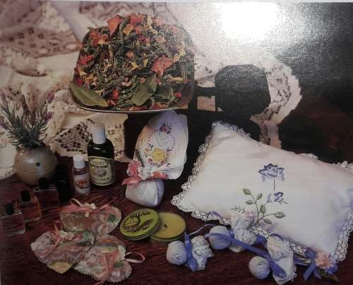 Herbs For The South African Garden And Home - Zoe Gilbert