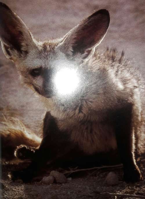 Etosha - Mitch & Margot Reardon