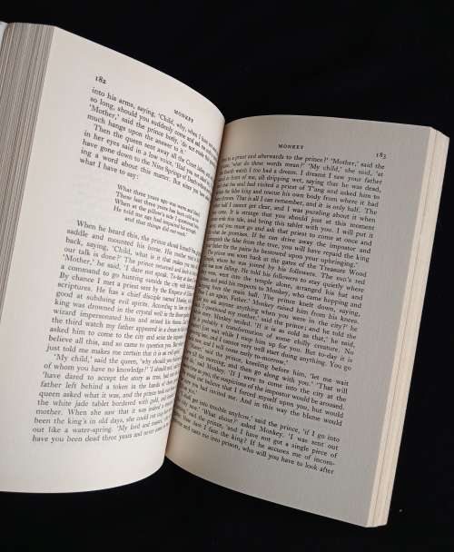 Monkey by Wu Ch`êng-ên - Translated by Arthur Waley