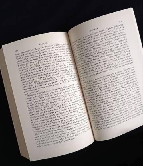 Monkey by Wu Ch`êng-ên - Translated by Arthur Waley