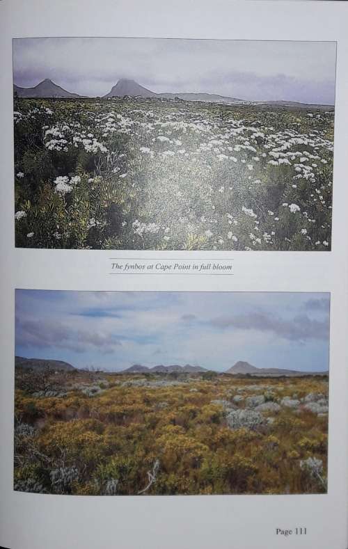 The Families and Farms Of The South Peninsula And Cape Point - Michael Walker