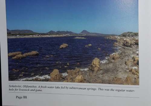 The Families and Farms Of The South Peninsula And Cape Point - Michael Walker