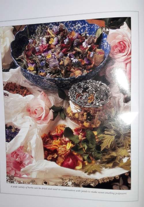 A South African Guide To Herbs - Barbara Hey