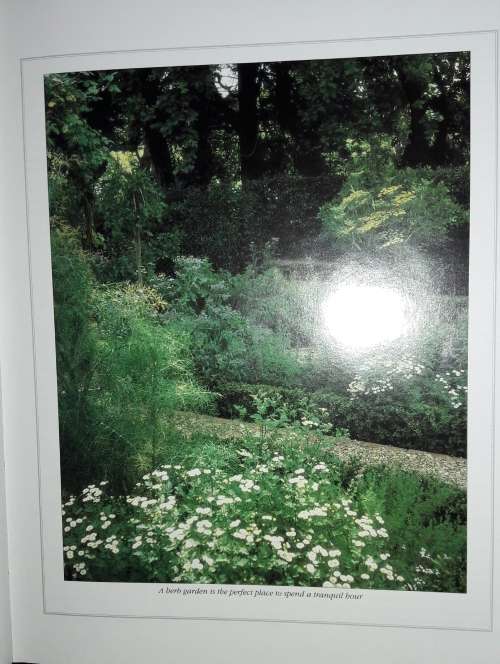 A South African Guide To Herbs - Barbara Hey