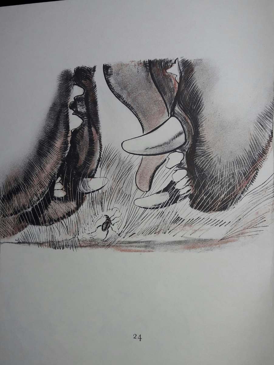 Frikki Vlooi - AAJ van Niekerk