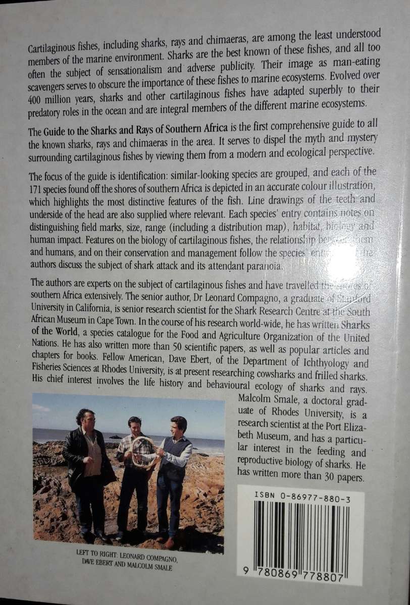 Guide To The Sharks And Rays Of Southern Africa LJV Compagno - DA Ebert - MJ Smale
