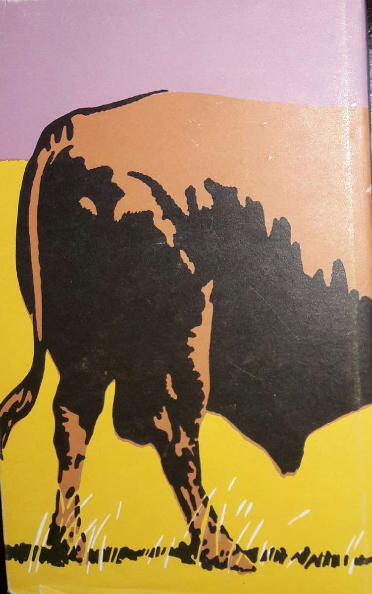 Die Reus Van Doring-Berg - H J Vermaas