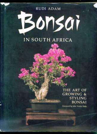 **Big, Big Stock Clearance Sale** Bonsai in South Africa