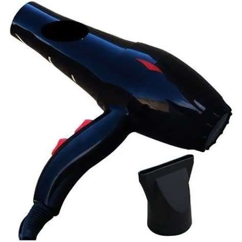 **Professional Hair Dryer**