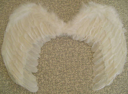 * Handmade Angel Wings ( Real Feathers)