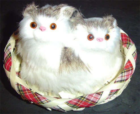 Furry Decor Pets - Kitty Twins in a Basket