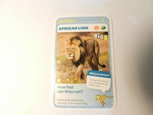 Pick 'n Pay Super Animal Card xxx Big5 African Lion #4 (Fastest) xxx