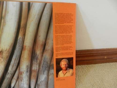 A day in the life of an AFRICAN ELEPHANT by Anthony Hall-Martin