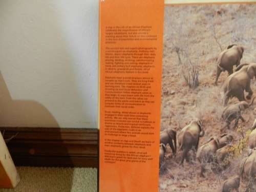 A day in the life of an AFRICAN ELEPHANT by Anthony Hall-Martin