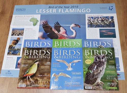 Magazines: African Birdlife Magazines.  6x Magazines. African Birdlife 2010/2011 Vol. 15